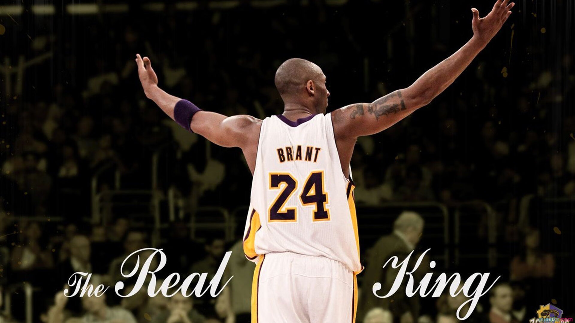 未来“欧洲霸主”新星走红,谁能引领下个黄金时代?,欧洲未来发展趋势