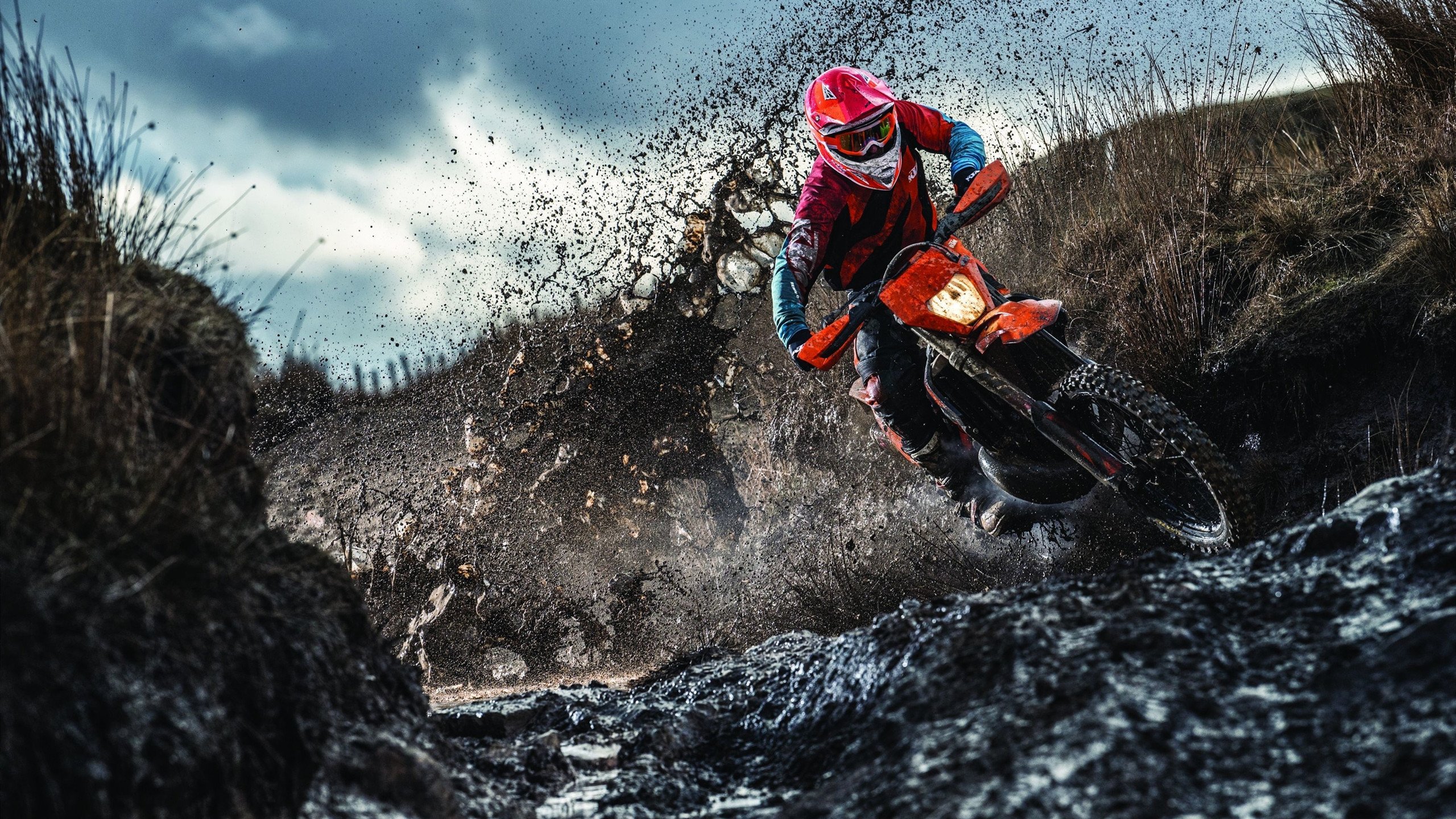 开云电竞赛事-灰熊最后一秒绝杀，现场气氛爆棚，灰熊袭击死亡视频