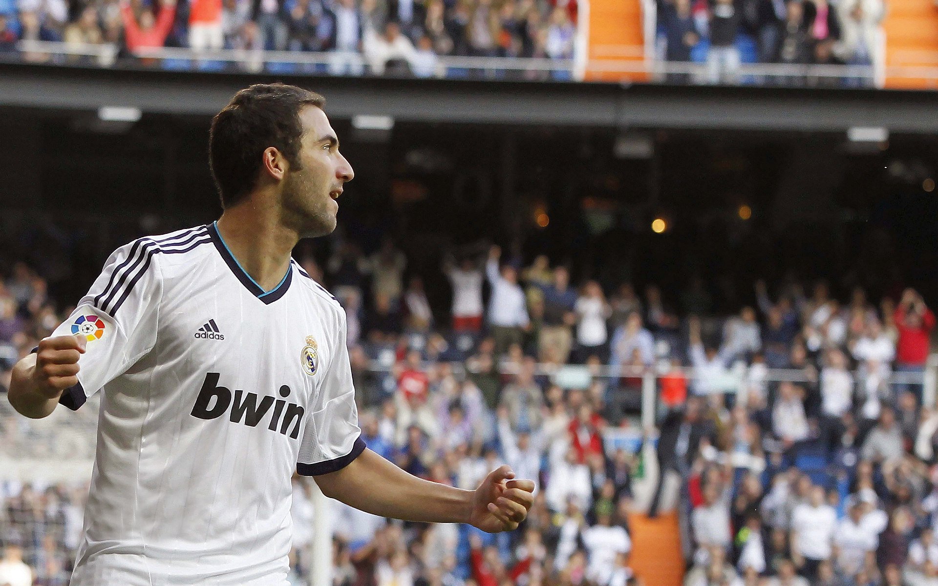 灰熊最后一秒绝杀，现场气氛爆棚，灰熊袭击死亡视频